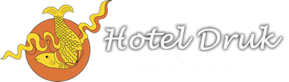 Hotel Druk Logo